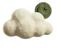 Sleep Health