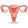 Women's Health